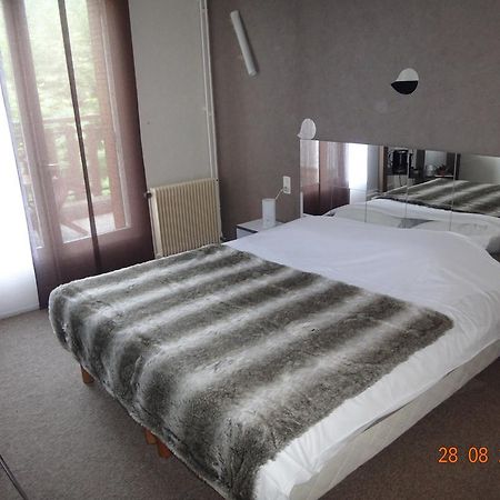 Hotel Bon Accueil Oyonnax Room photo